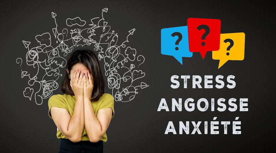 Ashwagandha, Safran, Rhodiola : les plantes adaptogènes pour le stress et l'équilibre nerveux